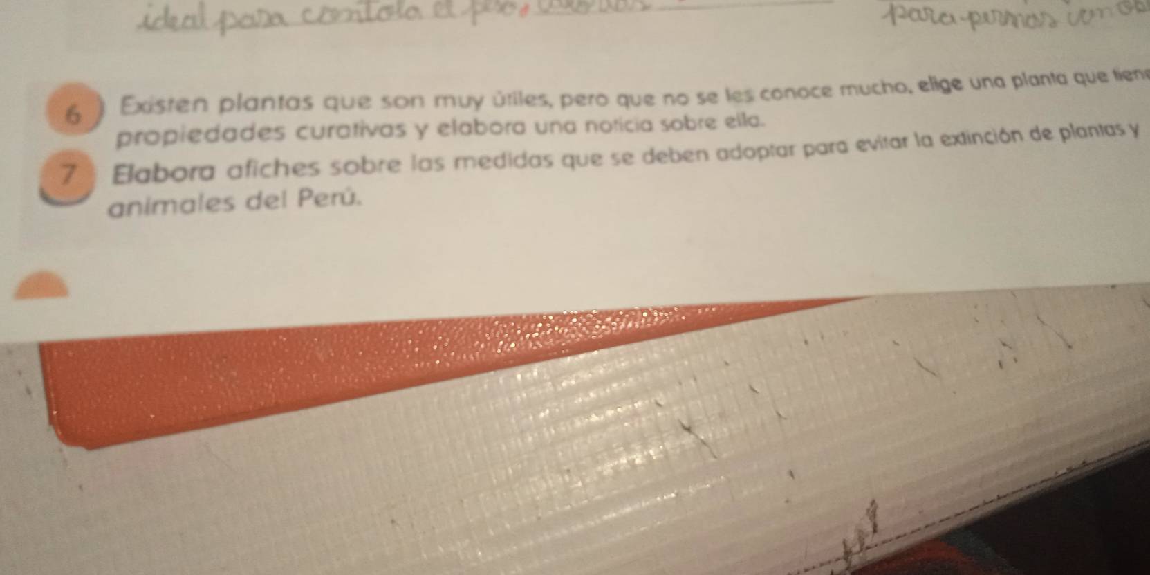 6 ) Existen plantas que son muy útiles, pero que no se les conoce mucho, elige una planta que tieno 
propiedades curativas y elabora una noticia sobre ella. 
7 Elabora afiches sobre las medidas que se deben adoptar para evitar la extinción de plantas y 
animales del Perú.