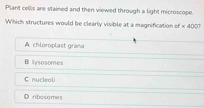 Plant cells are stained and then viewed through a light microscope.
Which structures would be clearly visible at a magnification of * 400 7
A chloroplast grana
B lysosomes
C nucleoli
D ribosomes