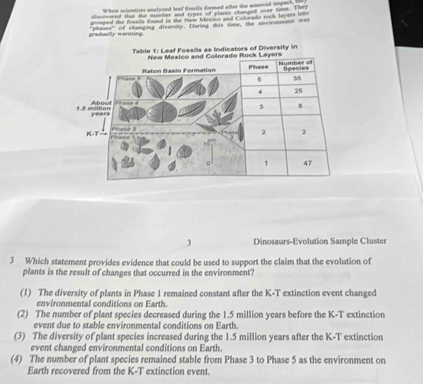 When scientists analyzed leaf fossils formed after the asteroid impact, ts
discovered that the number and types of plants changed over time. They
grouped the fossils found in the New Mexico and Colorado rock layers into
gradually warming. “phases' of changing diversity. During this time, the environment was
3 Dinosaurs-Evolution Sample Cluster
3 Which statement provides evidence that could be used to support the claim that the evolution of
plants is the result of changes that occurred in the environment?
(1) The diversity of plants in Phase 1 remained constant after the K-T extinction event changed
environmental conditions on Earth.
(2) The number of plant species decreased during the 1.5 million years before the K-T extinction
event due to stable environmental conditions on Earth.
(3) The diversity of plant species increased during the 1.5 million years after the K-T extinction
event changed environmental conditions on Earth.
(4) The number of plant species remained stable from Phase 3 to Phase 5 as the environment on
Earth recovered from the K-T extinction event.