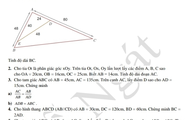 Tính độ dài BC. 
2. Cho tia Ot là phân giác góc xOy. Trên tia Ot, Ox, Oy lần lượt lấy các điểm A, B, C sao 
cho OA=20cm, OB=16cm, OC=25cm. Biết AB=14cm. Tính độ dài đoạn AC. 
3. Cho tam giác ABC có AB=45cm, AC=135cm. Trên cạnh AC, lấy điểm D sao cho AD=
15cm. Chứng minh 
a)  AC/AB = AB/AD 
b) ADB=ABC. 
4. Cho hình thang ABCD (AB//CD)c6AB=30cm, DC=120cm, BD=60cm. Chứng minh BC=
2AD.