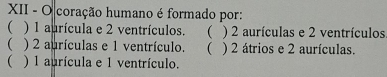 XII - O coração humano é formado por:
( ) 1 aurícula e 2 ventrículos. ( ) 2 aurículas e 2 ventrículos
( ) 2 aurículas e 1 ventrículo. ( ) 2 átrios e 2 aurículas.
( ) 1 aurícula e 1 ventrículo.