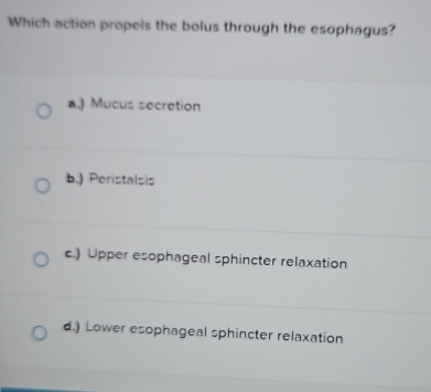 Which action propels the bolus through the esophagus?
a.) Mucus secretion
b.) Peristalsis
c.) Upper esophageal sphincter relaxation
d.) Lower esophageal sphincter relaxation