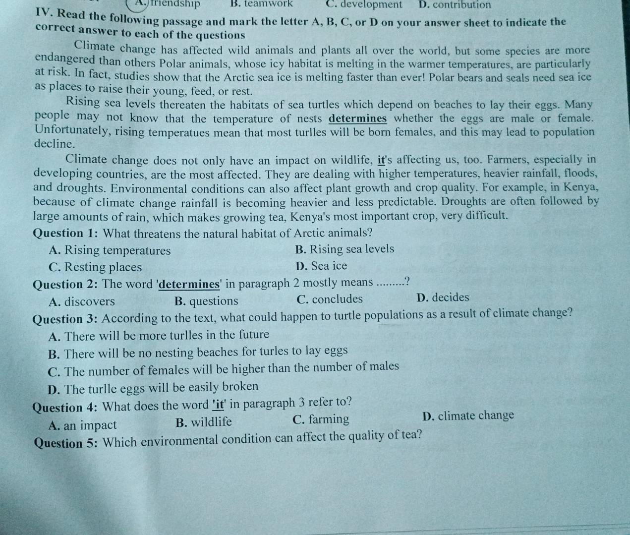 Afriendship B. teamwork C. development D. contribution
IV. Read the following passage and mark the letter A, B, C, or D on your answer sheet to indicate the
correct answer to each of the questions
Climate change has affected wild animals and plants all over the world, but some species are more
endangered than others Polar animals, whose icy habitat is melting in the warmer temperatures, are particularly
at risk. In fact, studies show that the Arctic sea ice is melting faster than ever! Polar bears and seals need sea ice
as places to raise their young, feed, or rest.
Rising sea levels thereaten the habitats of sea turtles which depend on beaches to lay their eggs. Many
people may not know that the temperature of nests determines whether the eggs are male or female.
Unfortunately, rising temperatues mean that most turlles will be born females, and this may lead to population
decline.
Climate change does not only have an impact on wildlife, it's affecting us, too. Farmers, especially in
developing countries, are the most affected. They are dealing with higher temperatures, heavier rainfall, floods,
and droughts. Environmental conditions can also affect plant growth and crop quality. For example, in Kenya,
because of climate change rainfall is becoming heavier and less predictable. Droughts are often followed by
large amounts of rain, which makes growing tea, Kenya's most important crop, very difficult.
Question 1: What threatens the natural habitat of Arctic animals?
A. Rising temperatures B. Rising sea levels
C. Resting places D. Sea ice
Question 2: The word 'determines' in paragraph 2 mostly means ..........?
A. discovers B. questions C. concludes D. decides
Question 3: According to the text, what could happen to turtle populations as a result of climate change?
A. There will be more turlles in the future
B. There will be no nesting beaches for turles to lay eggs
C. The number of females will be higher than the number of males
D. The turlle eggs will be easily broken
Question 4: What does the word 'it' in paragraph 3 refer to?
A. an impact B. wildlife C. farming D. climate change
Question 5: Which environmental condition can affect the quality of tea?