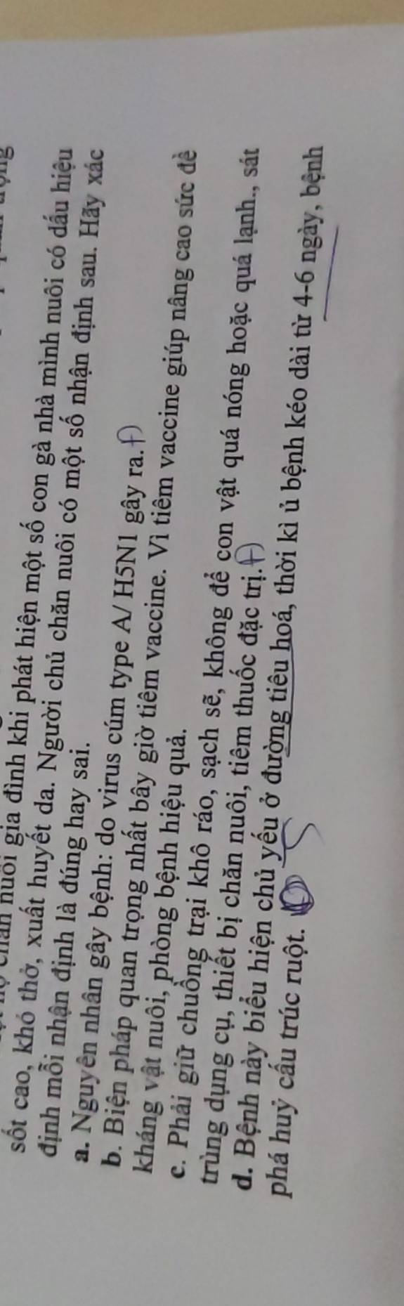 Chan huổi gia đình khi phát hiện một số con gà nhà mình nuôi có dấu hiệu
sốt cao, khó thở, xuất huyết da. Người chủ chăn nuôi có một số nhận định sau. Hãy xác
định mỗi nhận định là đúng hay sai.
a. Nguyên nhân gây bệnh: do virus cúm type A/ H5N1 gây ra.
b. Biện pháp quan trọng nhất bây giờ tiêm vaccine. Vì tiêm vaccine giúp nâng cao sức đề
kháng vật nuôi, phòng bệnh hiệu quả.
c. Phải giữ chuồng trại khô ráo, sạch sẽ, không để con vật quá nóng hoặc quá lạnh., sát
trùng dụng cụ, thiết bị chăn nuôi, tiêm thuốc đặc trị.
d. Bệnh này biểu hiện chủ yếu ở đường tiêu hoá, thời kì ủ bệnh kéo dài từ 4-6 ngày, bệnh
phá huỷ cầu trúc ruột.