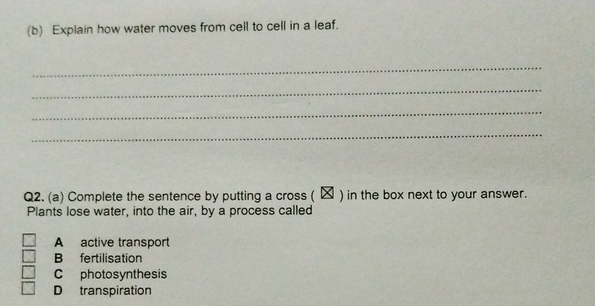 Explain how water moves from cell to cell in a leaf.
_
_
_
_
Q2. (a) Complete the sentence by putting a cross ( ) in the box next to your answer.
Plants lose water, into the air, by a process called
A active transport
B fertilisation
C photosynthesis
D transpiration