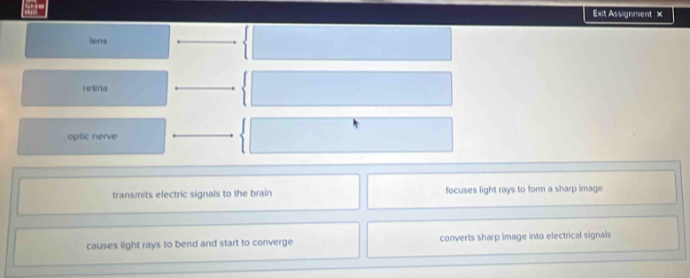 Exit Assignment ×
lens
retina
optic nerve
transmits electric signals to the brain focuses light rays to form a sharp image
causes light rays to bend and start to converge converts sharp image into electrical signals