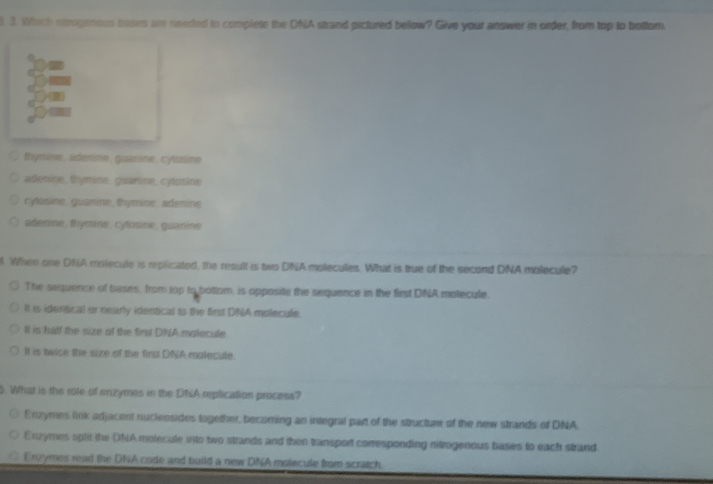 Which extrogenous boses are needed to complets the DNA strand pictured bellow? Give your answer in order, from top to botfom.
thymine, sdenine, gainine, cylasine
adenine, thymine, guanine, cytosins
cylusine, guanine, thymane, adenine
adenine, thymine, cylosine, guanine
. When one DNA molecule is replicated, the result is two DNA molecules. What is true of the second DNA molecule?
The sequence of bases, from top to bottom, is opposite the sequence in the first DNA motecule.
It is identical or nearly identical to the first DNA molecule.
It is half the size of the first DNA molecule
It is twice the size of the fing DNVA malecule.
5. What is the role of enzymes in the DhA replication process?
Enzymes link adjacent ruclensides together, becoming an integral part of the structure of the new strands of DNA
Enzymes split the DNA molecule into two strands and then transport comesponding nitrogenous bases to each strand.
Erzymes read the DNA code and build a new DNA molecule from scratch.