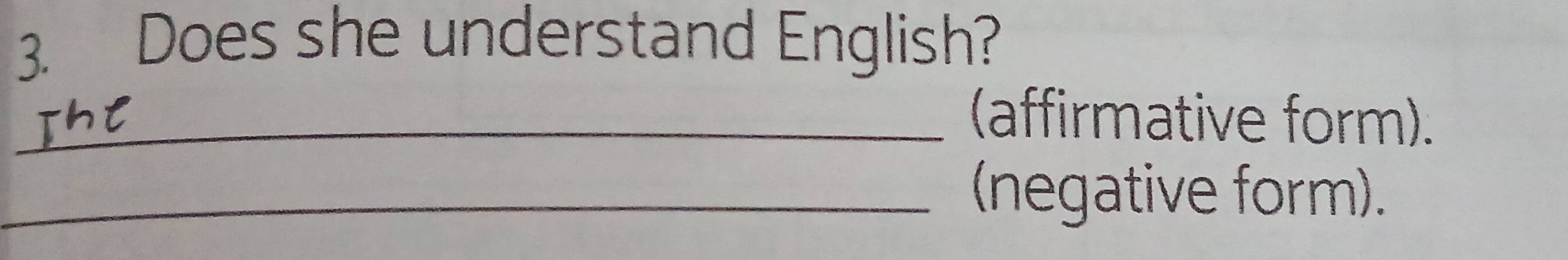 Does she understand English? 
_(affirmative form). 
_(negative form).