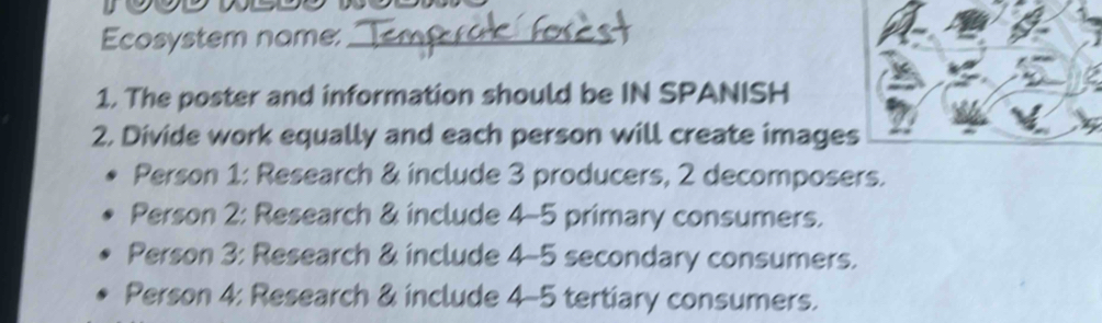 Ecosystem name:_
1. The poster and information should be IN SPANISH
2. Divide work equally and each person will create image
Person 1: Research & include 3 producers, 2 decomposers.
Person 2: Research & include 4-5 primary consumers.
Person 3: Research & include 4-5 secondary consumers.
Person 4: Research & include 4-5 tertiary consumers.