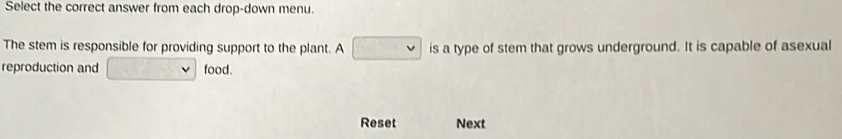 Select the correct answer from each drop-down menu. 
The stem is responsible for providing support to the plant. A is a type of stem that grows underground. It is capable of asexual 
reproduction and food. 
Reset Next