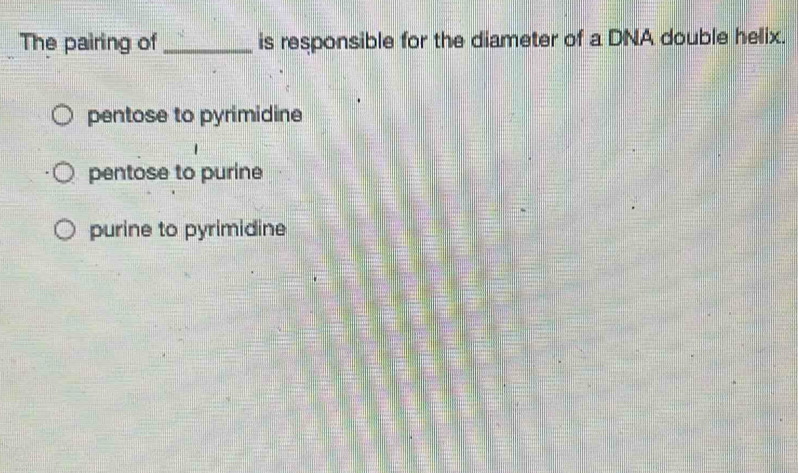 The pairing of _is responsible for the diameter of a DNA double helix.
pentose to pyrimidine
pentose to purine
purine to pyrimidine