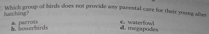 Which group of birds does not provide any parental care for their young after
hatching?
a. parrots c. waterfowl
b. bowerbirds d. megapodes