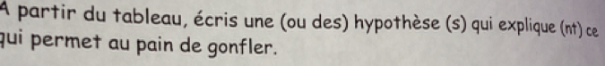 A partir du tableau, écris une (ou des) hypothèse (s) qui explique (nt) ce 
qui permet au pain de gonfler.