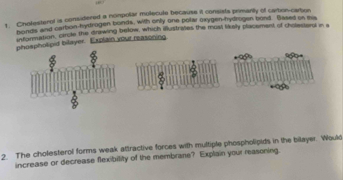 Cholesterol is considered a nonpolar molecule because it consists primanly of carbon-carbon 
bonds and carbon-hydrogen bonds, with only one polar oxygen-hydrogen bond. Based on mis 
information, circle the drawing below, which illustrates the most likely placement of cholesterol in e 
pospholipid bilayer. Explain your reasoning. 
2. The cholesterol forms weak attractive forces with multiple phospholipids in the bilayer. Would 
increase or decrease flexibility of the membrane? Explain your reasoning.