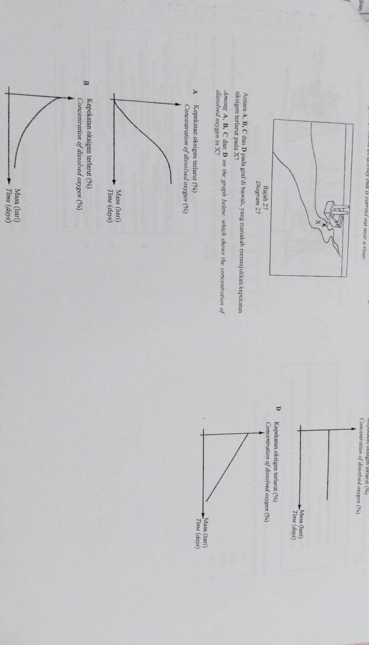 mat is carried out near a river . Concentration of dissolved oxyg ( 
x
asa (hari)
ime (days)
D Kepekatan oksigen terlarut (%)
Rajah 27
Diagram 27
Antara A, B, C dan D pada graf di bawah, yang manakah menunjukkan kepekatan
oksigen terlarut pada X?
Among A, B, C dan D on the graph below, which shows the concentration of
dissolved oxygen in X?
A Kepekatan oksigen terlarut (%)
Concentration of dissolved oxygen (%)
Masa (hari)
Time (days)