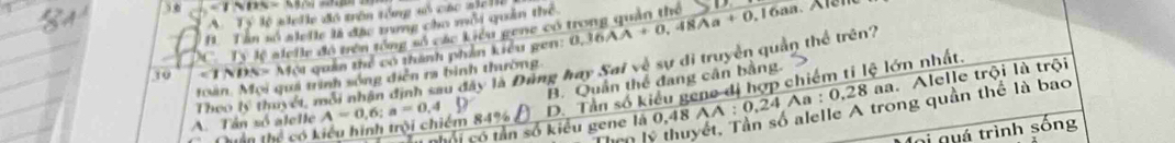 A. Tý lệ slelle đó trên tổng số các wielli
11 Tân số sle lle là đặc tng cho môi quân thể
''' ''Ty lệ lefle đồ trên tổng số các Liêu gene có trong quản thể
10 ∠ ININ= Một quản thể có thành phần kiểu gen: 0,36AA+0,48Aa+0,16an
Theo lý thuyết, mới nhận định sau đây là Đung hay Sai vệ sự di truyền quản thể trên?
Hoàn. Mọi quá trình sống diễn ra bình thường.
B. Quần thể đang cân bằng.
A. Tân số alelle A=0.6; a=0.4 9 D. Tần số kiểu geno đị hợp chiếm tỉ lệ lớn nhất.
trong quần thể là bao
nhổi có tần số kiểu gene là 0,48 A A:0.24Aa:0.28 a. Alelle trội là trội
Quản 1hc^2 có kiểu hình trội chiếm 84%
Thên lý thuyề
Mại quá trình sống