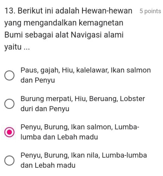 Berikut ini adalah Hewan-hewan 5 points
yang mengandalkan kemagnetan
Bumi sebagai alat Navigasi alami
yaitu ...
Paus, gajah, Hiu, kalelawar, Ikan salmon
dan Penyu
Burung merpati, Hiu, Beruang, Lobster
duri dan Penyu
Penyu, Burung, Ikan salmon, Lumba-
lumba dan Lebah madu
Penyu, Burung, Ikan nila, Lumba-lumba
dan Lebah madu