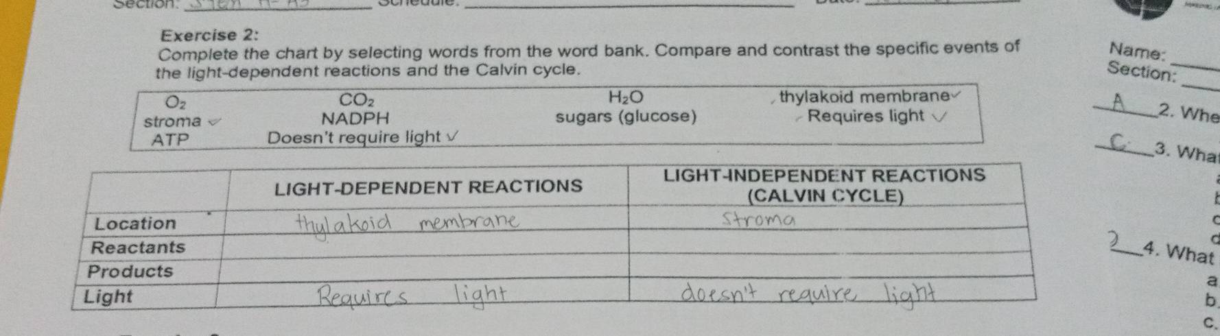 Section_
_
Exercise 2:
_
Complete the chart by selecting words from the word bank. Compare and contrast the specific events of Name:
the light-dependent reactions and the Calvin cycle. Section:
O_2
H_2O
_
CO_2 thylakoid membrane
stroma NADPH sugars (glucose) Requires light
_2. Whe
ATP Doesn't require light √
_
3. Wha
4. What
a
b
C.