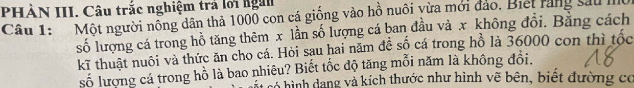 PHÀN III. Câu trắc nghiệm trả lới ngài 
Câu 1: Một người nổng dân thả 1000 con cá giống vào hồ nuôi yừa mới đảo. Biet rang sau mo, 
số lượng cá trong hồ tăng thêm x lần số lượng cá ban đầu và x không đổi. Bằng cách 
kĩ thuật nuôi và thức ăn cho cá. Hỏi sau hai năm để số cá trong hồ là 36000 con thì tốc 
số lượng cá trong hồ là bao nhiêu? Biết tốc độ tăng mỗi năm là không đổi. 
tình dang và kích thước như hình vẽ bên, biết đường cơ