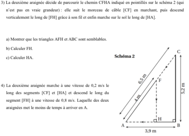 La deuxième araignée décide de parcourir le chemin CFHA indiqué en pointillés sur le schéma 2 (qui 
n'est pas en vraie grandeur): elle suit le morceau de câble [ CF ] en marchant, puis descend 
verticalement le long de [ FH ] grâce à son fil et enfin marche sur le sol le long de [ HA ]. 
a) Montrer que les triangles AFH et ABC sont semblables. 
b) Calculer FH. 
c) Calculer HA. 
4) La deuxième araignée marche à une vitesse de 0,2 m/s le 
long des segments [ CF ] et [ HA ] et descend le long du 
segment [ FH ] à une vitesse de 0,8 m/s. Laquelle des deux 
araignées met le moins de temps à arriver en A.