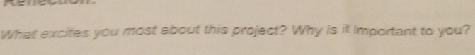 What excites you most about this project? Why is it important to you?