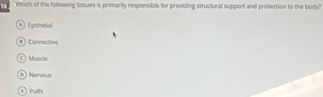Which of the following tissues is primarily responsible for providing structural support and protection to the body?
Epithelial
Connective
c) Muscle
D) Nervous
Putts