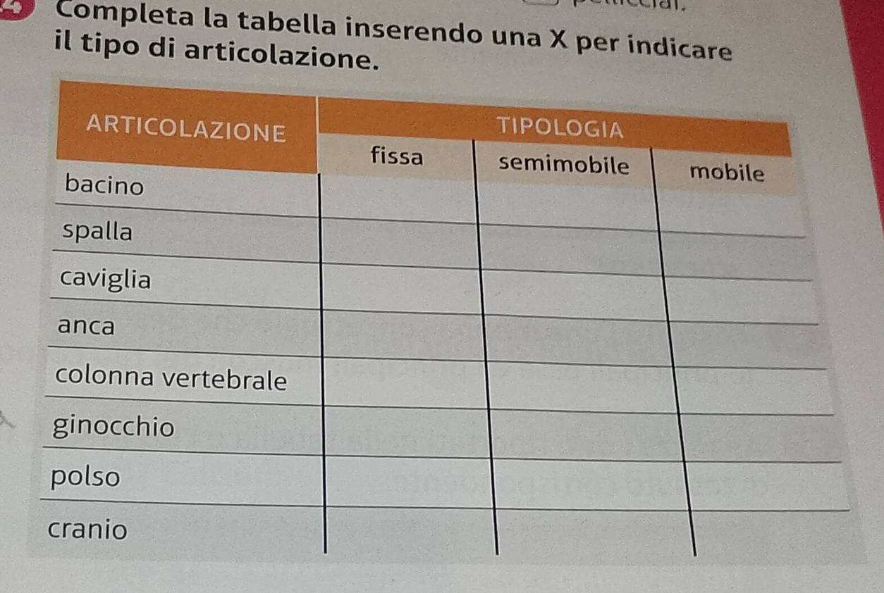 Completa la tabella inserendo una X per indicare 
il tipo di articolazione.