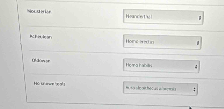 Mousterian Neanderthal
Acheulean Homo erectus
Oldowan Homo habilis
No known tools Australopithecus afarensis