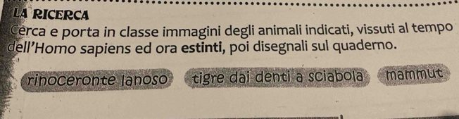 LA RICERCA 
Cerca e porta in classe immagini degli animali indicati, vissuti al tempo 
dell’Homo sapiens ed ora estinti, poi disegnali sul quaderno. 
rinoceronte lanoso tigre dai denti a sciabola mammut