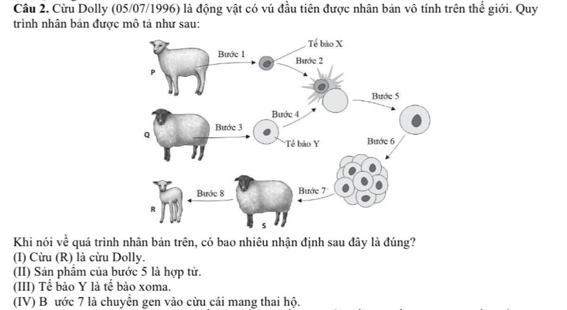 Cừu Dolly (05/07/1996) là động vật có vú đầu tiên được nhân bản vô tính trên thế giới. Quy
trình nhân bản được mô tả như sau:
Khi nói về quá trình nhân bản trên, có bao nhiêu nhận định sau đây là đúng?
(I) Cừu (R) là cừu Dolly.
(II) Sản phầm của bước 5 là hợp tử.
(III) Tế bào Y là tế bào xoma.
(IV) B ước 7 là chuyền gen vào cừu cái mang thai hộ.