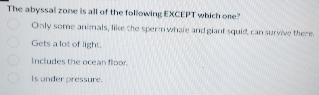 The abyssal zone is all of the following EXCEPT which one?
Only some animals, like the sperm whale and giant squid, can survive there.
Gets a lot of light.
Includes the ocean floor.
Is under pressure.