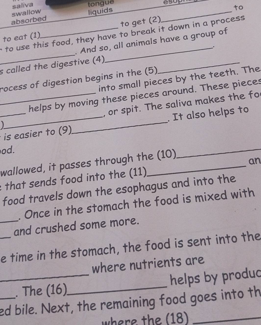 saliva tongue 
esoph 
swallow 
absorbed liquids_ 
to 
to eat (1) to get (2) 
to use this food, they have to break it down in a process 
. And so, all animals have a group of 
s called the digestive (4) __. 
into small pieces by the teeth. The 
rocess of digestion begins in the (5) 
_helps by moving these pieces around. These pieces 
, or spit. The saliva makes the fo 
_is easier to (9)_ . It also helps to 

od. 
wallowed, it passes through the (10) 
_ 
an 
that sends food into the (11) 
food travels down the esophagus and into the 
. Once in the stomach the food is mixed with 
_and crushed some more. 
_e time in the stomach, the food is sent into the 
where nutrients are 
_. The (16)_ helps by produc 
ed bile. Next, the remaining food goes into th 
where the (18)_