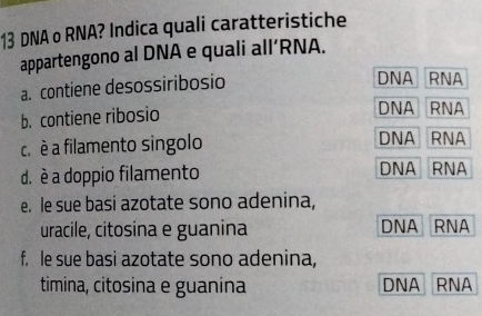 DNA o RNA? Indica quali caratteristiche
appartengono al DNA e quali all’RNA.
a. contiene desossiribosio DNA RNA
b. contiene ribosio
DNA RNA
c. è a filamento singolo DNA RNA
d. è a doppio filamento DNA RNA
e. le sue basi azotate sono adenina,
uracile, citosina e guanina DNA RNA
f. le sue basi azotate sono adenina,
timina, citosina e guanína DNA RNA