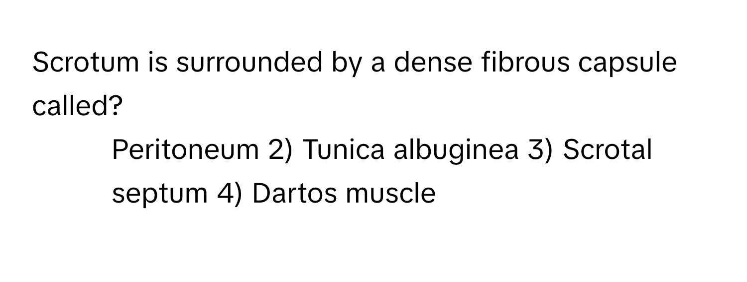 Scrotum is surrounded by a dense fibrous capsule called?

1) Peritoneum 2) Tunica albuginea 3) Scrotal septum 4) Dartos muscle