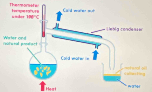 Therm
W
n
Heat