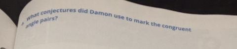 angle pairs? wWhat conjectures did Damon use to mark the congruent