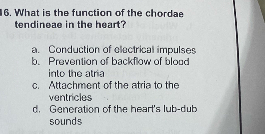 What is the function of the chordae
tendineae in the heart?
a. Conduction of electrical impulses
b. Prevention of backflow of blood
into the atria
c. Attachment of the atria to the
ventricles
d. Generation of the heart's lub-dub
sounds