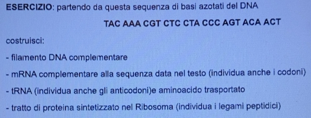 Risolto:partendo da questa sequenza di basi azotati del DNA TAC AAA CGT ...