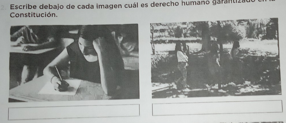 Escribe debajo de cada imagen cuál es derecho humano garantizao 
Constitución.