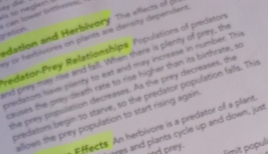 ay die. 
is to negiet 
gration. can lower srhtes . 
edation and Herbivory The effects of p 
y or herbivores on plants are density dependent 
redator-Prey Relationships Populations of predaton 
nd prey may rise and fall. When there is plenty of prey, the 
predators have semty to eat and may increase in number. Thi 
auses the pwy death rate to rise higher than its birthrate, so 
the prey populittion decreases. As the prey decreases, the 
predators begin to starve, so the predator population falls. Thi 
allows the prey population to start rising again 
Effects An herbivore is a predator of a plant 
yes and plants cycle up and down, just 
limit popul 
nd prey.