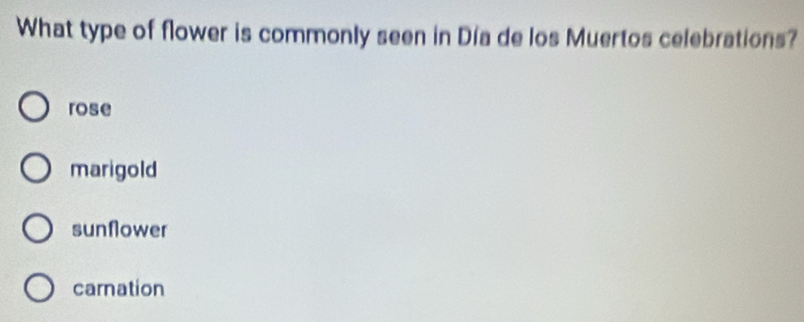 What type of flower is commonly seen in Día de los Muertos celebrations?
rose
marigold
sunflower
carnation