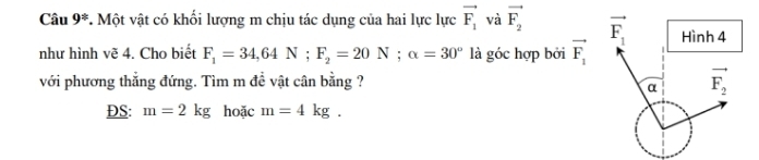 Câu 9^(/) *. Một vật có khối lượng m chịu tác dụng của hai lực lực vector F_1 và vector F_2
như hình vẽ 4. Cho biết F_1=34,64N;F_2=20N;alpha =30° là góc hợp bởi vector F_1
với phương thẳng đứng. Tìm m đề vật cân bằng ? 
DS: m=2kg hoặc m=4kg.