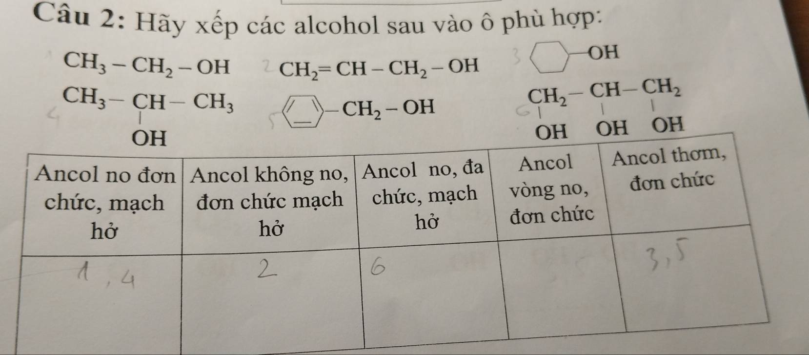 Hãy xếp các alcohol sau vào ô phù hợp: 
OH
CH_3-CH_2-OH CH_2=CH-CH_2-OH
CH_3-CH-CH_3 _ )-CH_2-OH
CH_2-CH-CH_2