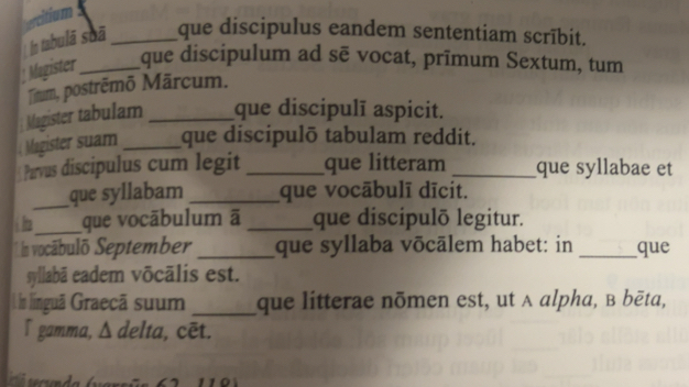 Risolto:sercitium In tabulā soā _que discipulus eandem sententiam ...