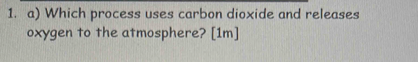 Which process uses carbon dioxide and releases 
oxygen to the atmosphere? [1m]