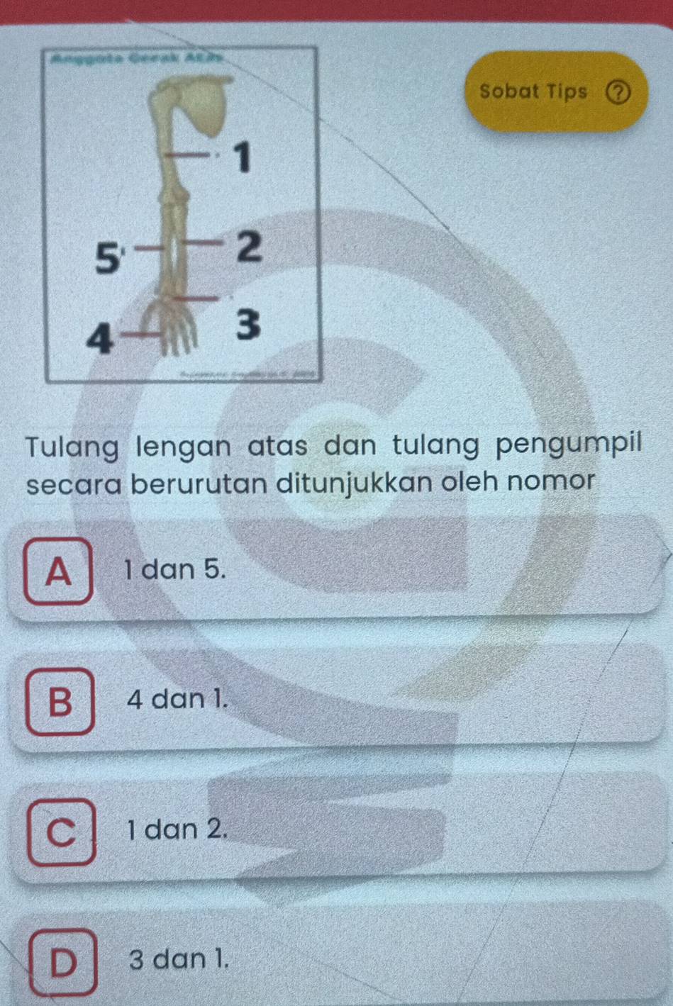 Sobat Tips a
Tulang lengan atas dan tulang pengumpil
secara berurutan ditunjukkan oleh nomor
A 1 dan 5.
B 4 dan 1.
C 1 dan 2.
D 3 dan 1.