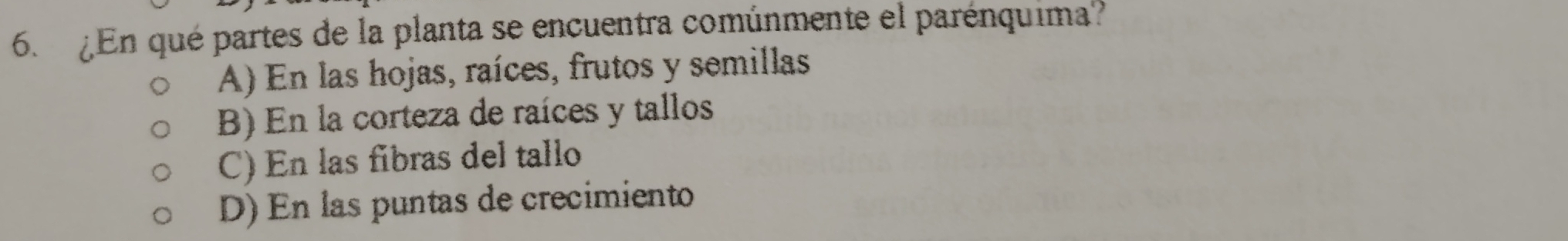 ¿En qué partes de la planta se encuentra comúnmente el parénquima?
A) En las hojas, raíces, frutos y semillas
B) En la corteza de raíces y tallos
C) En las fibras del tallo
D) En las puntas de crecimiento