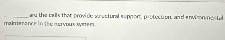 are the cells that provide structural support, protection, and environmental 
maintenance in the nervous system.