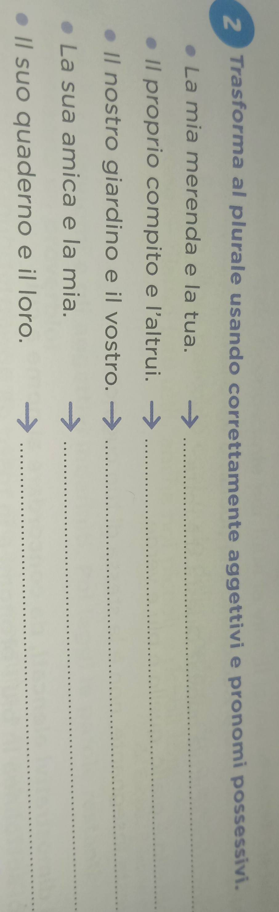 Trasforma al plurale usando correttamente aggettivi e pronomi possessivi. 
La mia merenda e la tua._ 
Il proprio compito e l'altrui._ 
ll nostro giardino e il vostro. 
_ 
La sua amica e la mia. 
_ 
ll suo quaderno e il loro. 
_