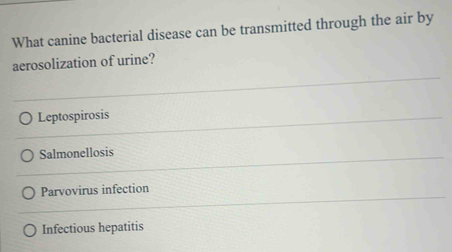 What canine bacterial disease can be transmitted through the air by
aerosolization of urine?
Leptospirosis
Salmonellosis
Parvovirus infection
Infectious hepatitis